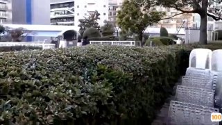 无码专区一区⭕❌欧美精品A片XXX⭕❌欧美性猛交XXXX乱大交极品-无码av电影在线观看不卡